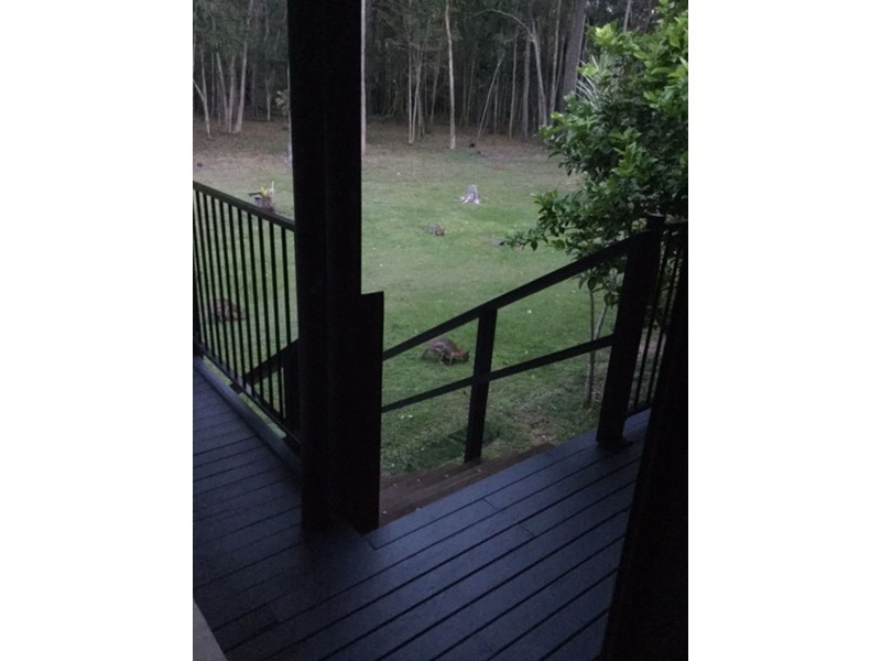 23 Minya Road, The Palms QLD 4570