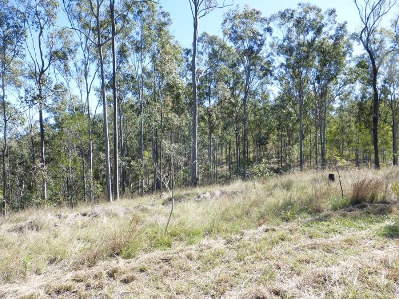 L55 Reilly Road, Woolooga QLD 4570