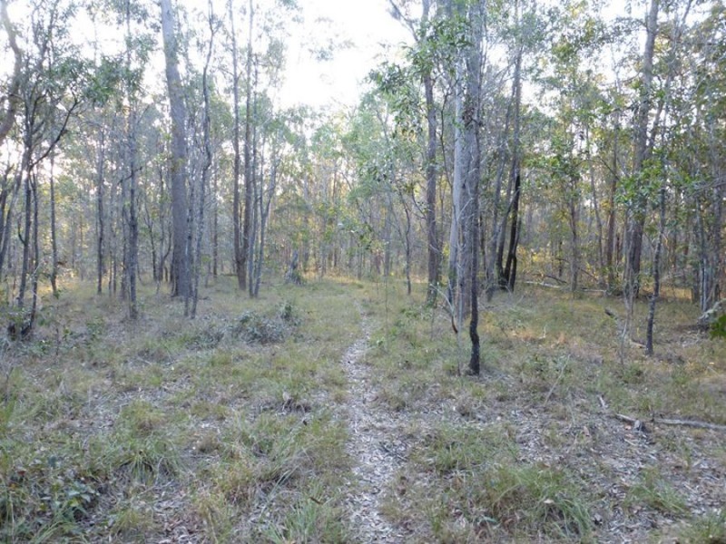 Talegalla Weir QLD 4650