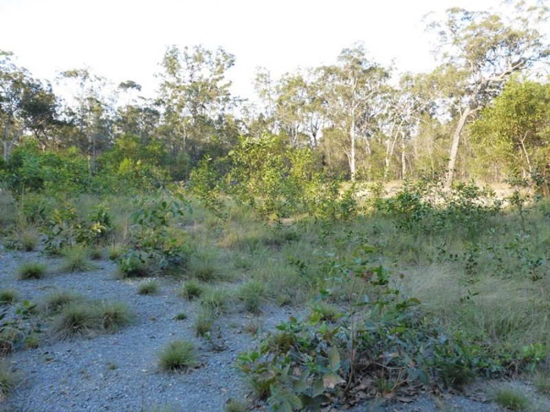 Talegalla Weir QLD 4650