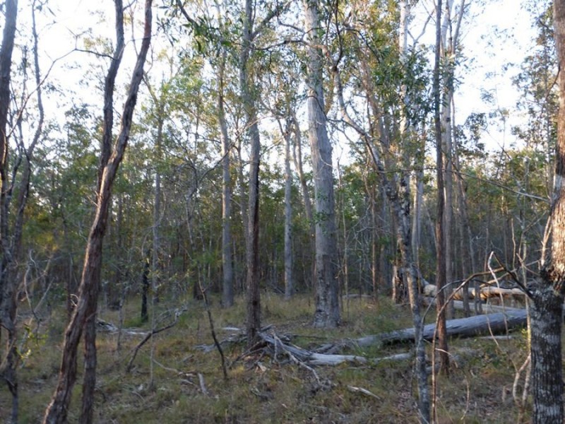 Talegalla Weir QLD 4650