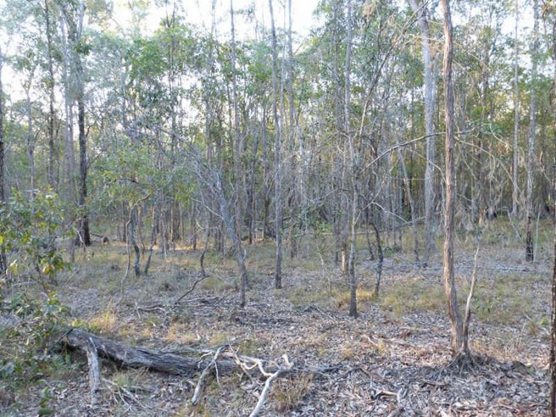 Talegalla Weir QLD 4650