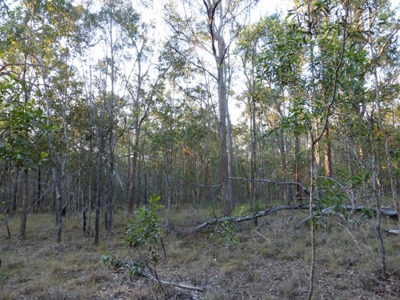 Talegalla Weir QLD 4650