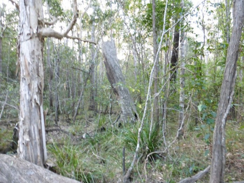 Talegalla Weir QLD 4650