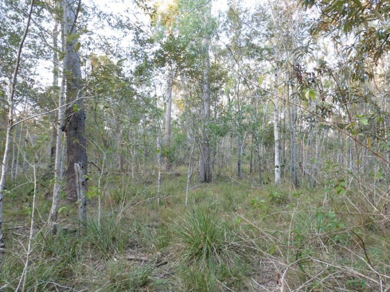 Talegalla Weir QLD 4650