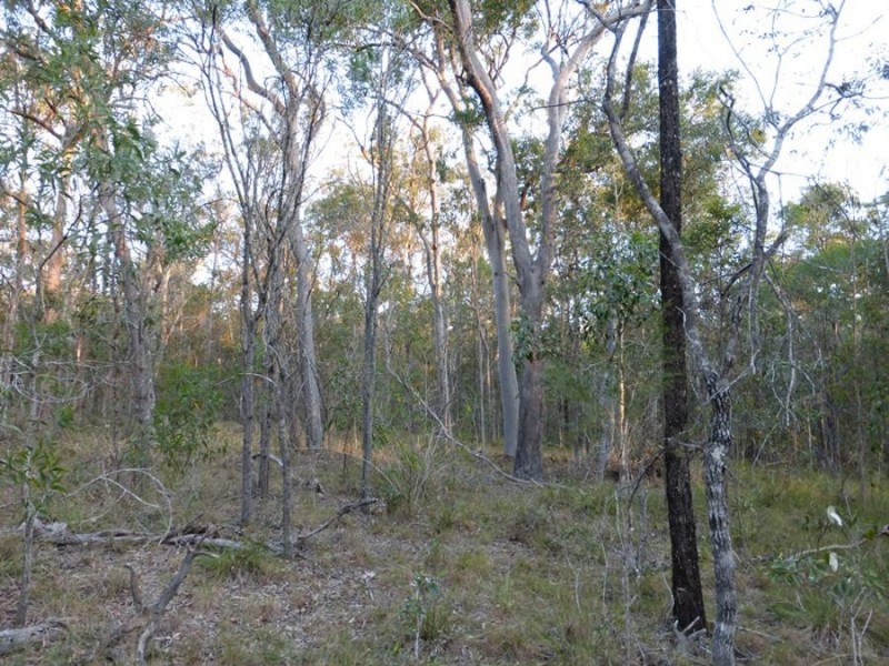 Talegalla Weir QLD 4650