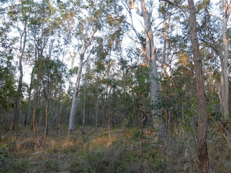 Talegalla Weir QLD 4650