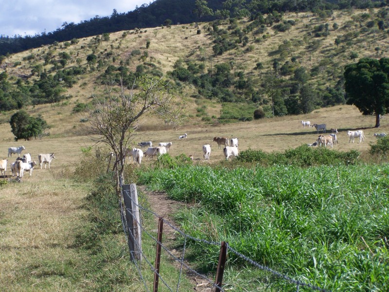 Brooweena QLD 4620