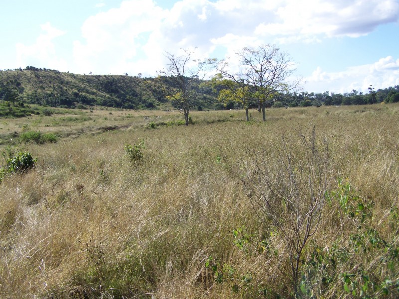 Brooweena QLD 4620