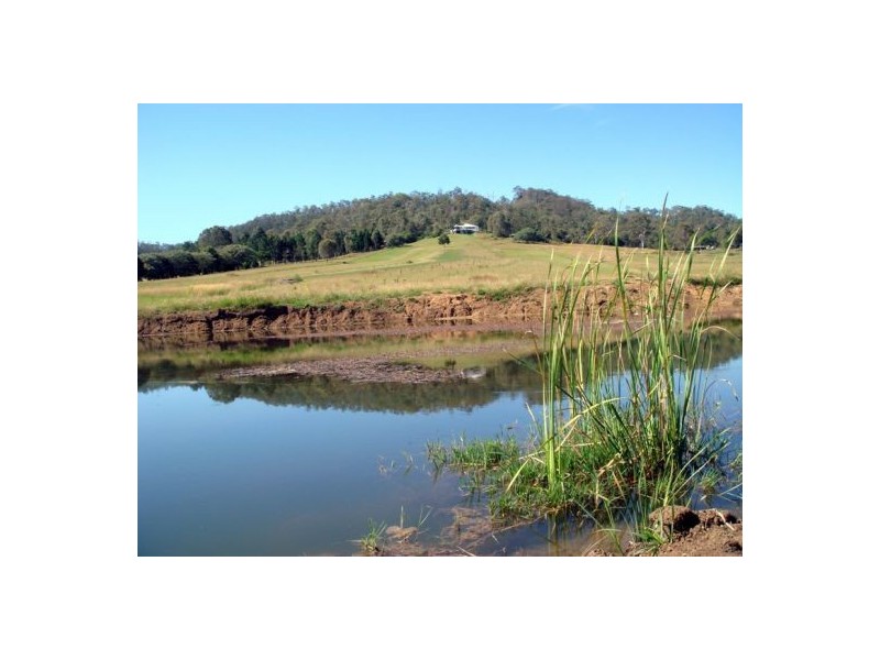 47 Wyuna Drive, Glastonbury QLD 4570