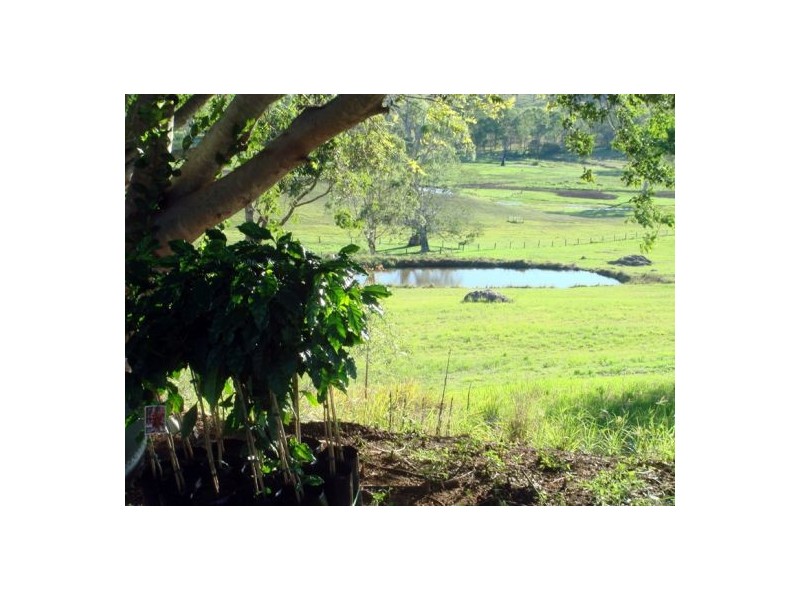 47 Wyuna Drive, Glastonbury QLD 4570