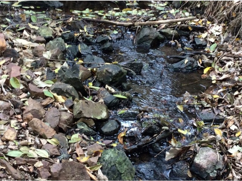 Glastonbury QLD 4570