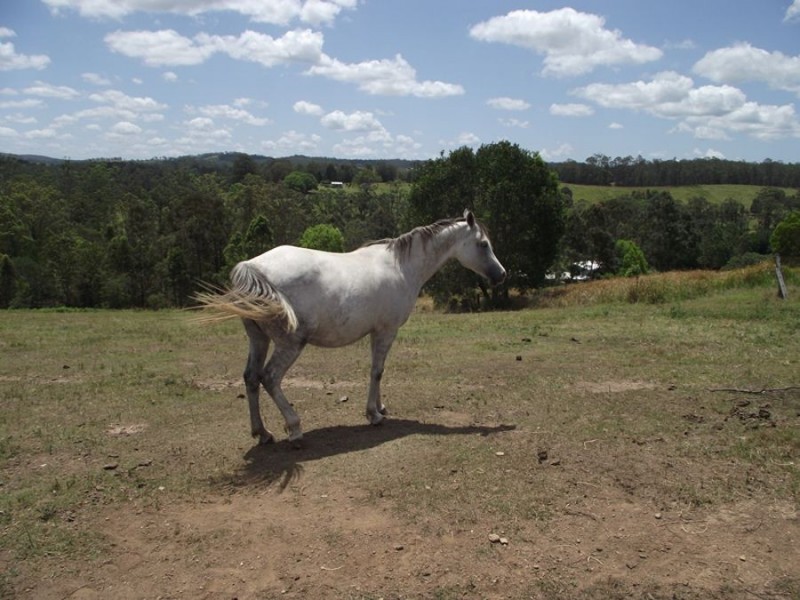 North Deep Creek QLD 4570