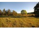 Canina QLD 4570