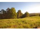 Canina QLD 4570