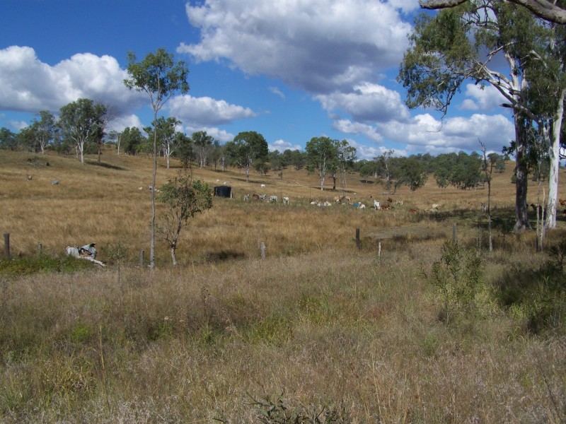 Tansey QLD 4601