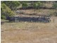 Tansey QLD 4601