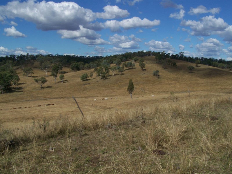 Tansey QLD 4601