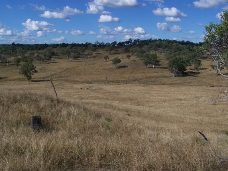Tansey QLD 4601