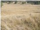 Tansey QLD 4601