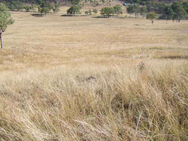 Tansey QLD 4601