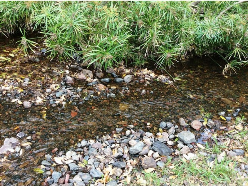 Glastonbury QLD 4570