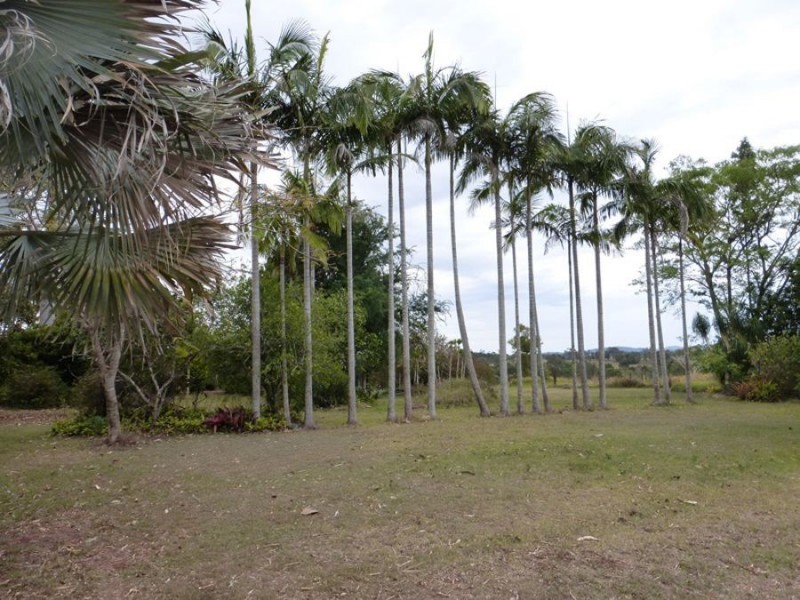 21 Palmer Court, The Dawn QLD 4570