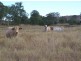 Goomeri QLD 4601