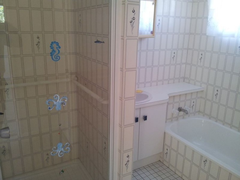 11 Tree Street, Pomona QLD 4568