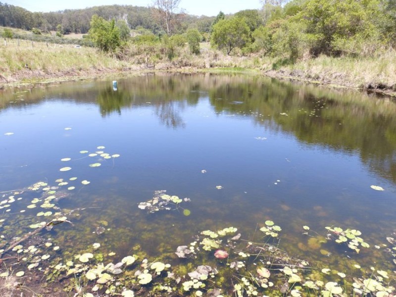 872 Tagigan Road, Wolvi QLD 4570