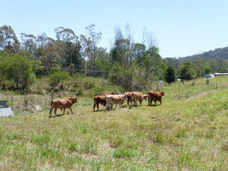 872 Tagigan Road, Wolvi QLD 4570