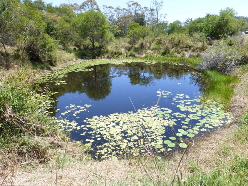 872 Tagigan Road, Wolvi QLD 4570