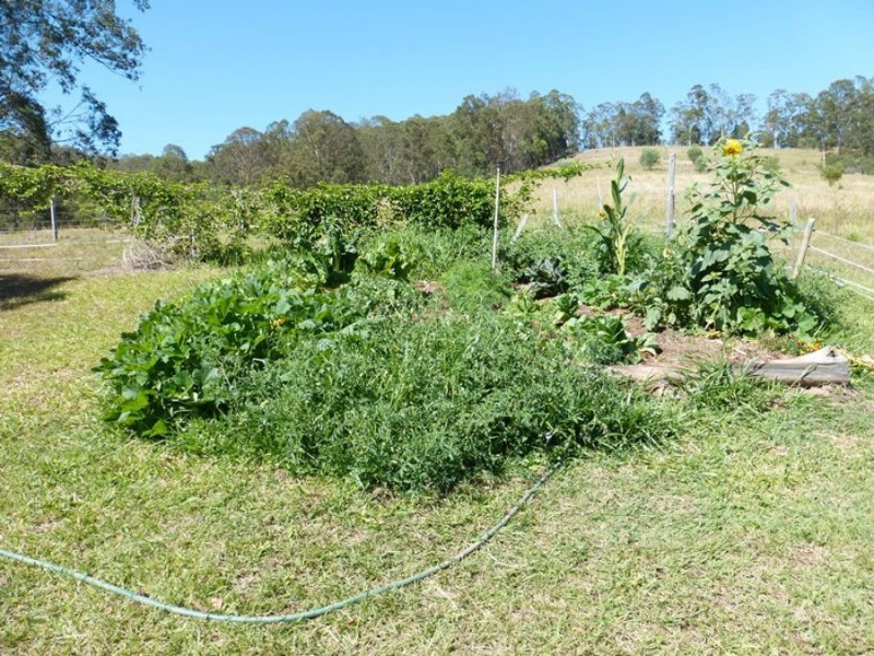 872 Tagigan Road, Wolvi QLD 4570