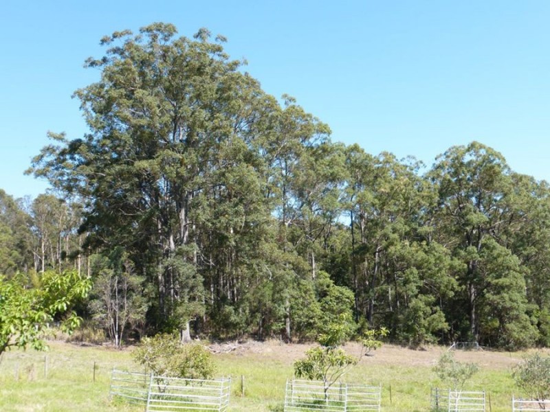 872 Tagigan Road, Wolvi QLD 4570