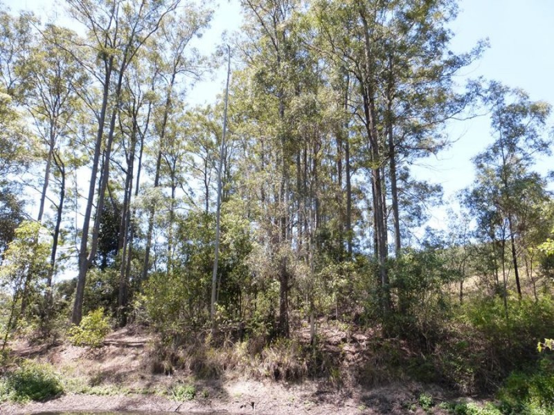 872 Tagigan Road, Wolvi QLD 4570