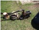 Bauple QLD 4650