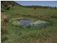Bauple QLD 4650