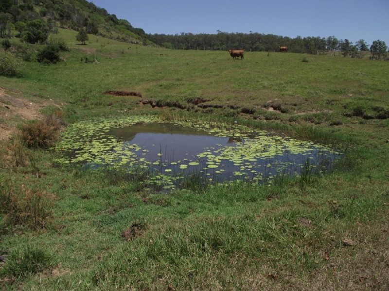 Bauple QLD 4650