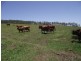 Bauple QLD 4650