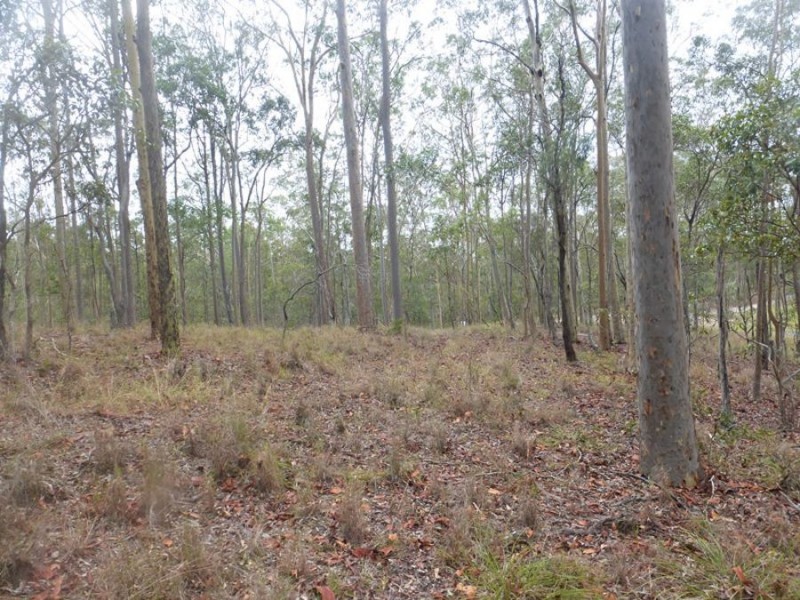 Wolvi QLD 4570