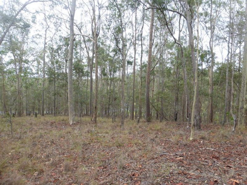 Wolvi QLD 4570