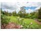 7 Claffey Road, The Dawn QLD 4570