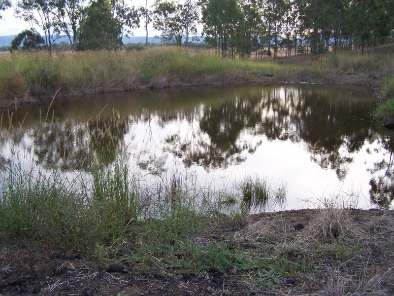 Lower Wonga QLD 4570