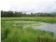 Pie Creek QLD 4570