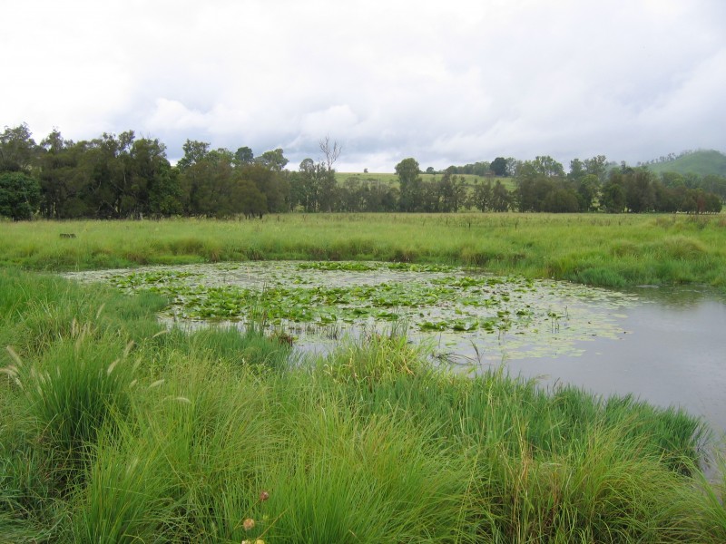 Pie Creek QLD 4570