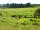 Pie Creek QLD 4570