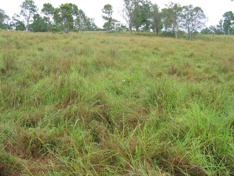 Pie Creek QLD 4570