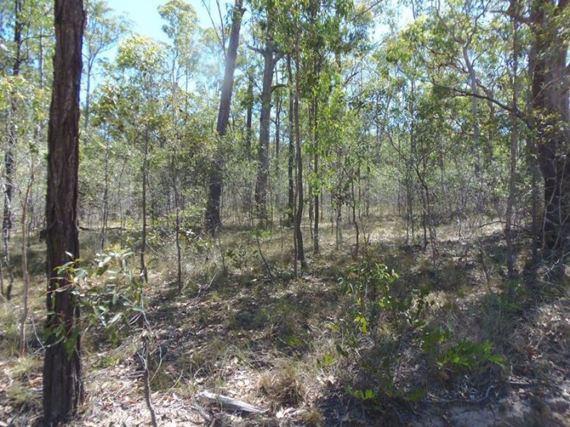 Lot 10 Connors Road, Bauple QLD 4650