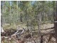 Lot 10 Connors Road, Bauple QLD 4650