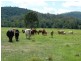 Gootchie QLD 4650